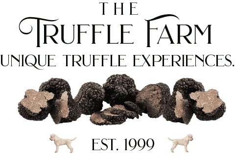 a group of black truffles